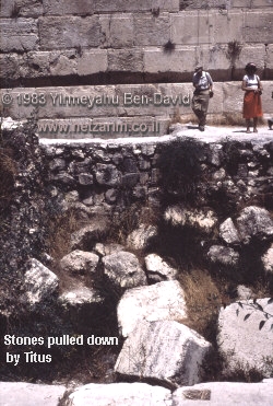 Har ha-Bayit stones pulled down by Titus